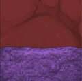 Thumbnail for version as of 11:52, 2 April 2025